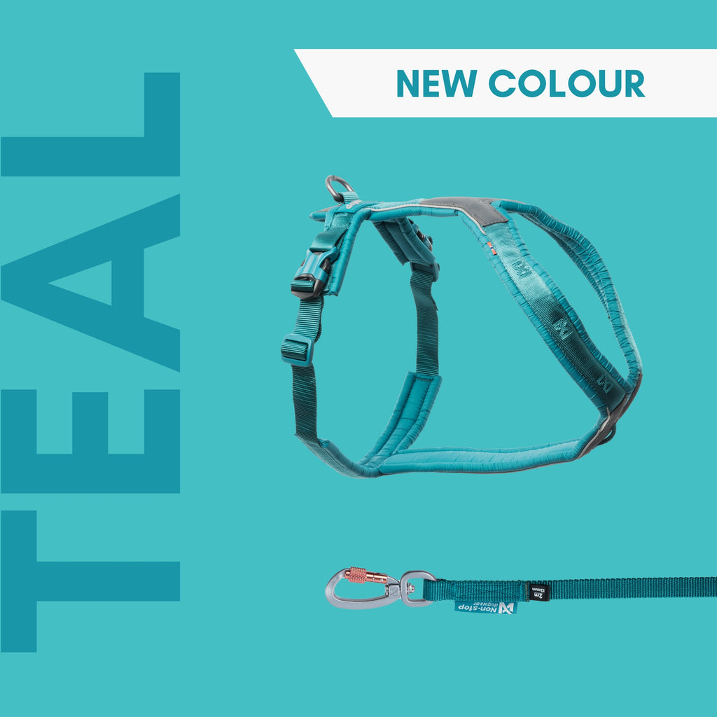 Non Stop Line Harness 5.0 Teal