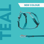 Non Stop Line Harness 5.0 Teal