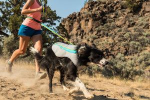 Ruffwear Swamp Cooler™  Kühlweste